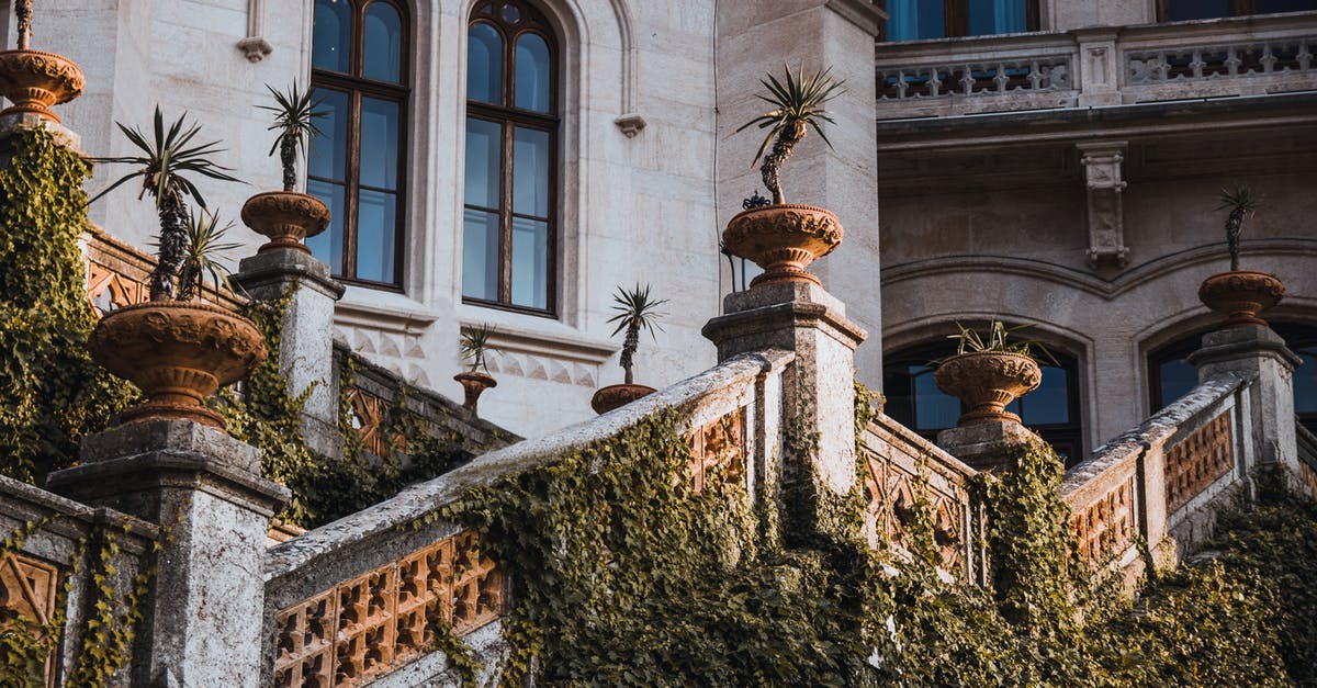 Housing steps and requirements in Caesar 3 - Potter Plants on Stairs of Building Housing steps and requirements in Caesar 3 - Potter Plants on Stairs of Building