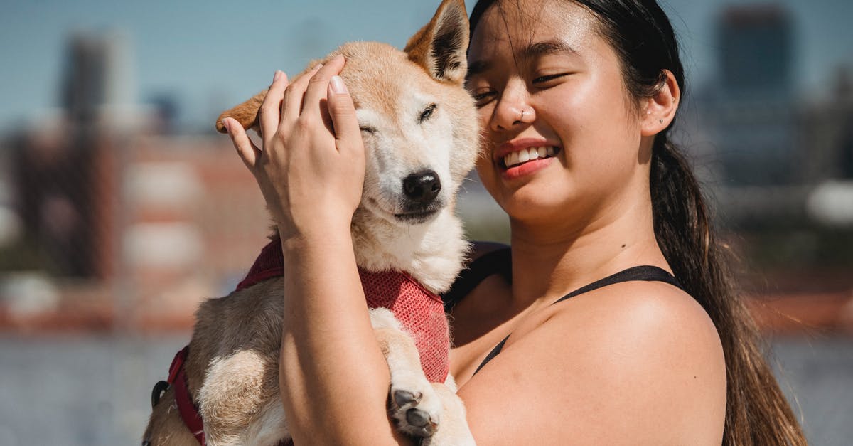 How are creature positions determined? - Smiling ethnic hugging dog in sunlight How are creature positions determined? - Smiling ethnic hugging dog in sunlight