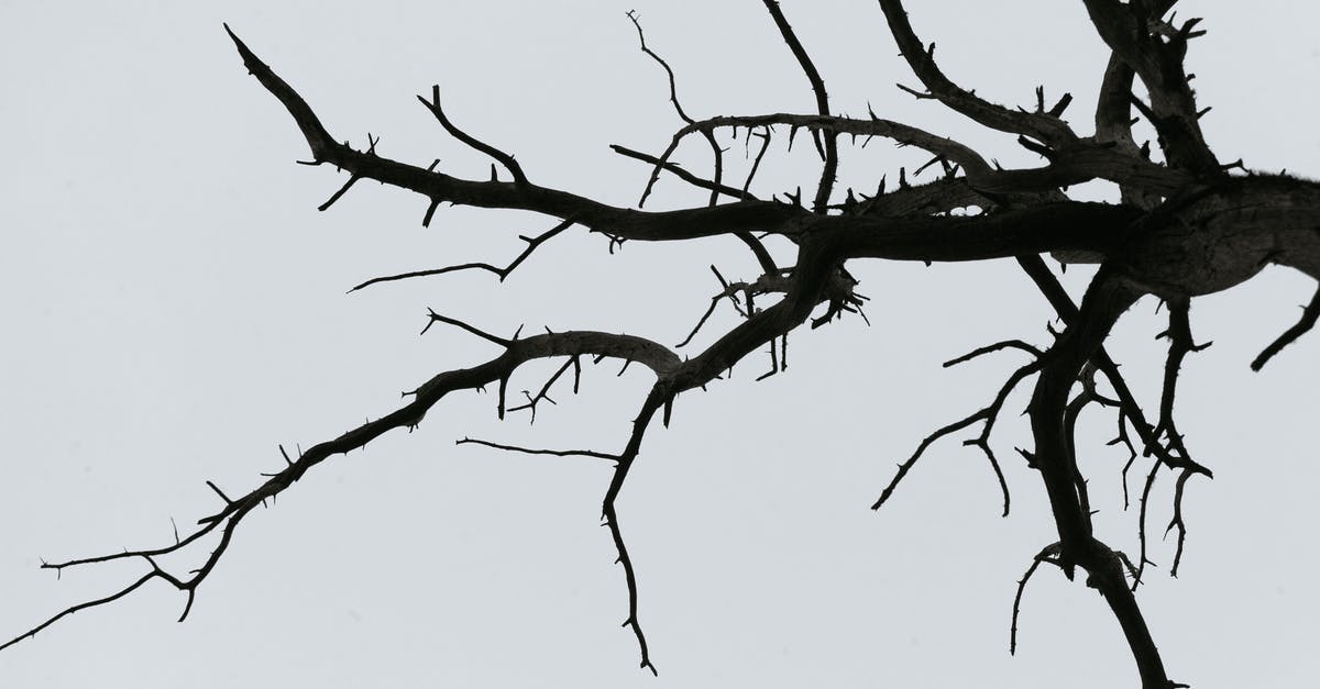 How can I avoid fall damage while Sticky-jumping? - Dried leafless tree branch against sky How can I avoid fall damage while Sticky-jumping? - Dried leafless tree branch against sky