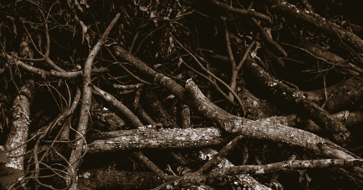 How can I avoid fall damage while Sticky-jumping? - From above pile of old dry tree trunks placed in nature in daylight How can I avoid fall damage while Sticky-jumping? - From above pile of old dry tree trunks placed in nature in daylight