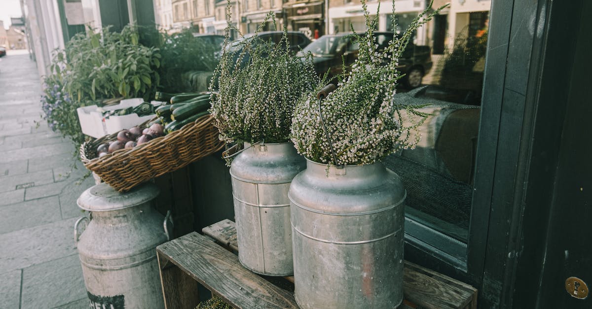 How can I build a boat? - Decorative metal cans with small flowers placed on walkway on wooden box near window of modern house on street in city