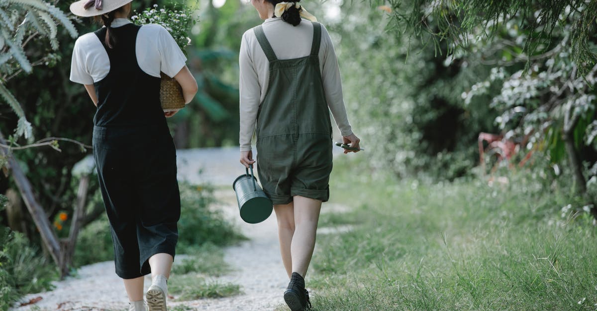 How can I carry more ammo in BioShock? - Back view full body of anonymous female colleagues walking among plants in garden How can I carry more ammo in BioShock? - Back view full body of anonymous female colleagues walking among plants in garden