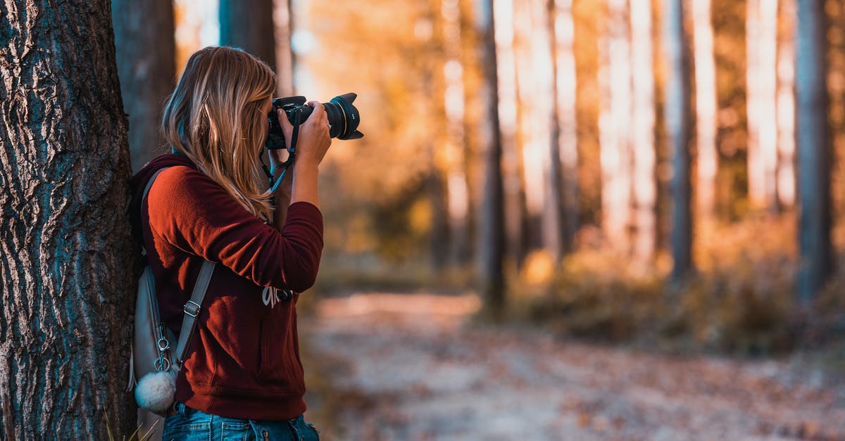 How can I detect if a person takes fall damage? - Woman Leaning Back on Tree Trunk Using Black Dslr Camera during Day How can I detect if a person takes fall damage? - Woman Leaning Back on Tree Trunk Using Black Dslr Camera during Day