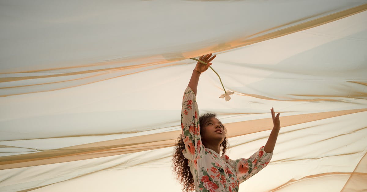 How can I easily consolidate dynasty holdings under one ruler? - Woman Standing Under See-Through Fabric Holding Flowers How can I easily consolidate dynasty holdings under one ruler? - Woman Standing Under See-Through Fabric Holding Flowers