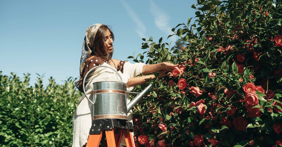 How can I farm for a specific type of heirloom? - A Woman on a Ladder Holding a Flower