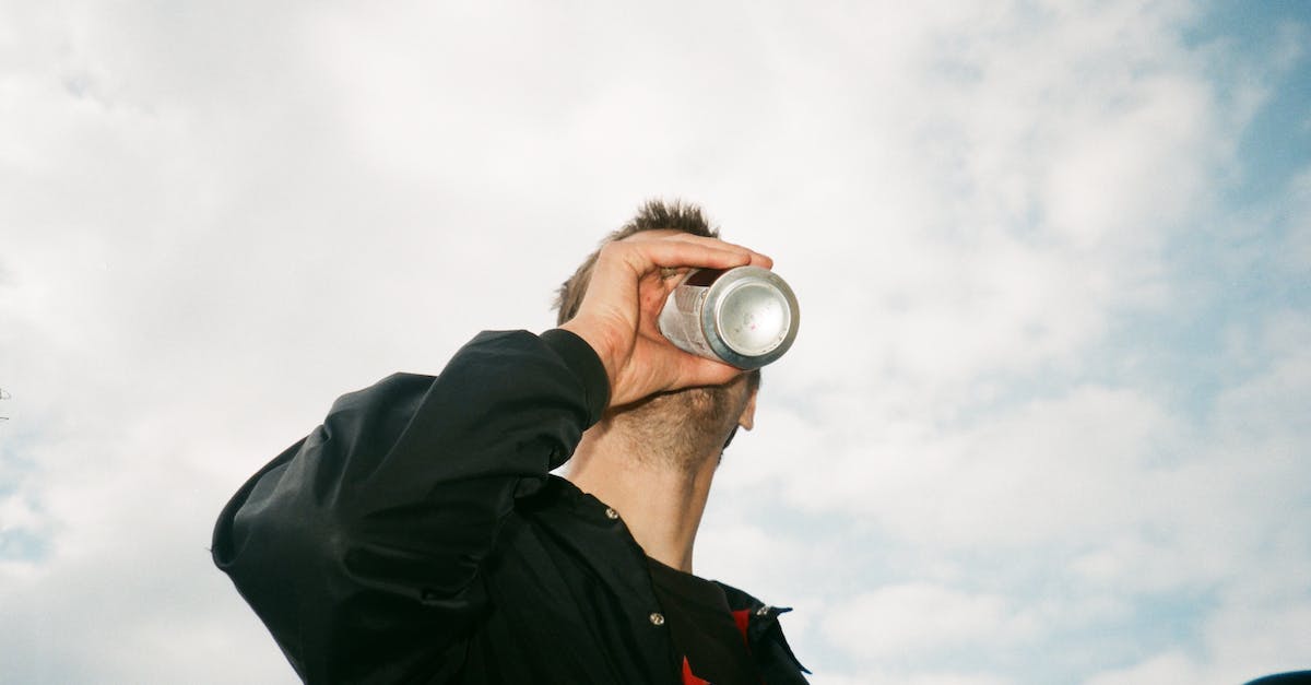 How can I get Ender Bees in Agrarian Skies? - Low Angle Photography of Man Drinking Gray Labeled Can