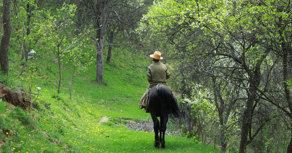 How can I get Shadowmere back after riding another horse? - Back View of a Man Riding a Horse on a Forest