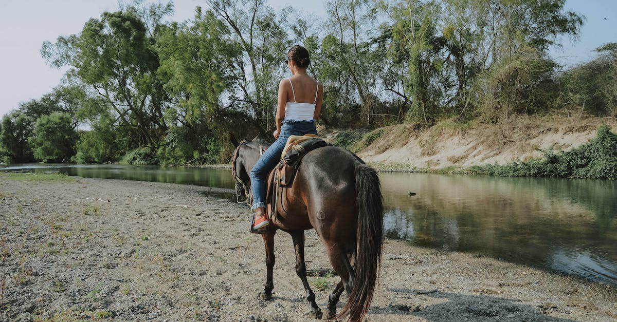 How can I get Shadowmere back after riding another horse? - Woman in White Spaghetti Strap Shirt Riding On A Horse