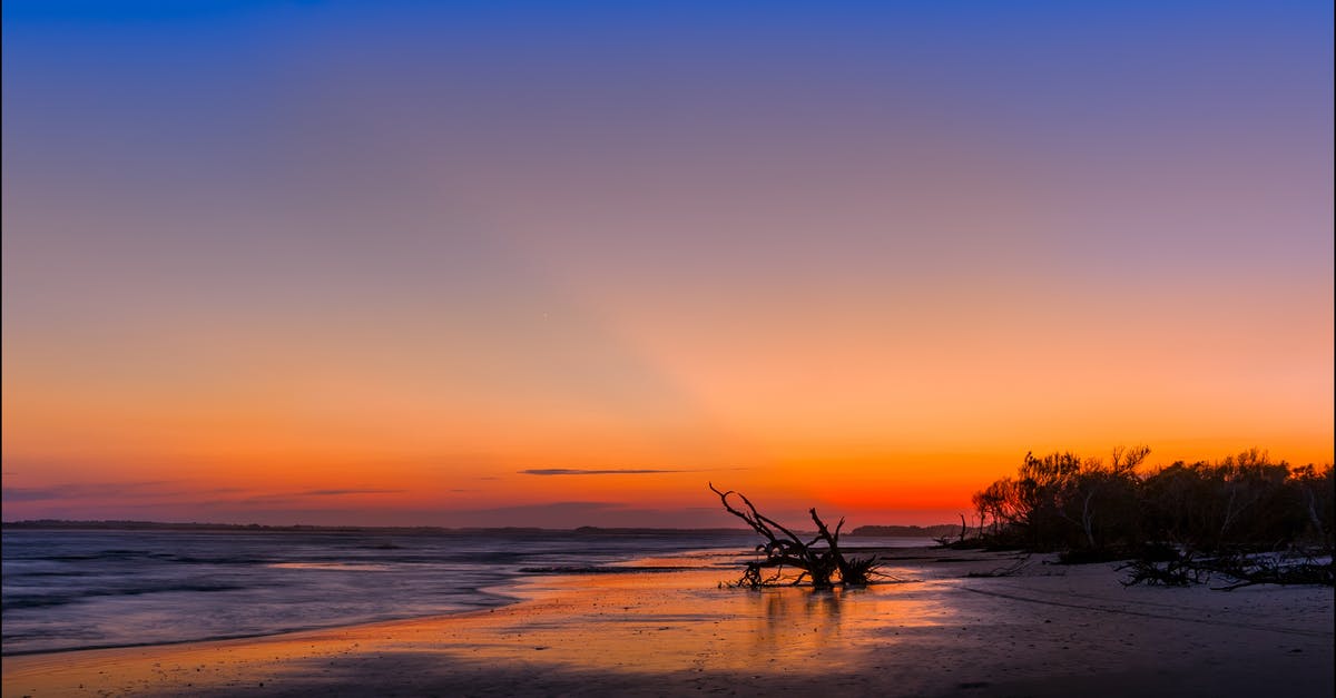 How can I get to the last wave of the pumpkin Moon in terraria 1.2.3 console? [duplicate] - Silhouette of Tree Near Sea Shore during Sunset