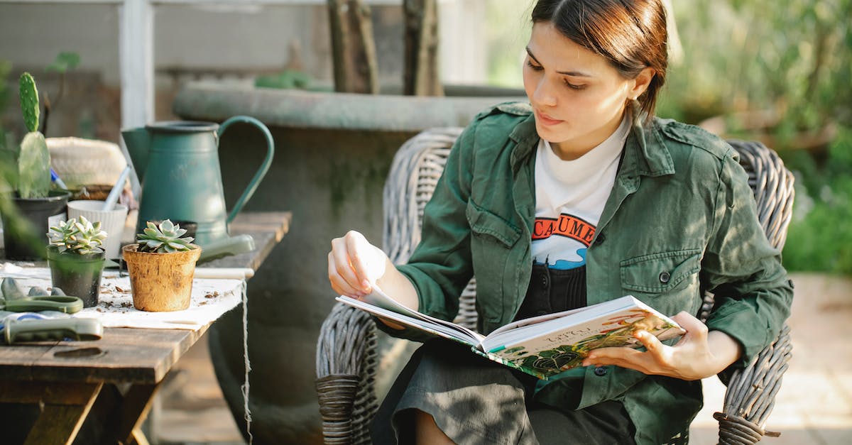 How can I learn more spells? - Gardener reading book in armchair near plants in pots How can I learn more spells? - Gardener reading book in armchair near plants in pots