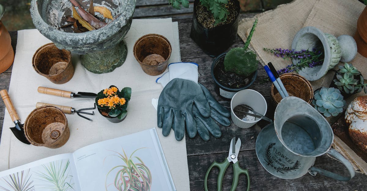 How can I learn more spells? - From above of shovel hoe and rake for gardening placed near pots and succulents with opened book How can I learn more spells? - From above of shovel hoe and rake for gardening placed near pots and succulents with opened book