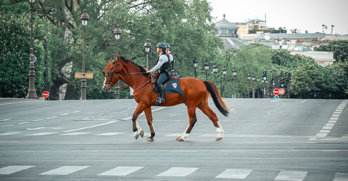How can I make a guard move out of the way? - Anonymous people crossing street on horses