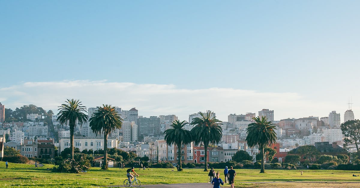 How can I make KSP run at half-speed? - People jogging and riding bike on asphalt pathway in green park with palm trees and lawn near city How can I make KSP run at half-speed? - People jogging and riding bike on asphalt pathway in green park with palm trees and lawn near city