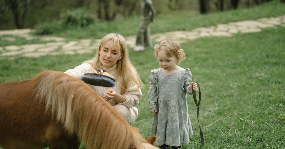 How can I make my horse less aggressive? - Girl in White Long Sleeve Shirt Sitting on Brown Horse