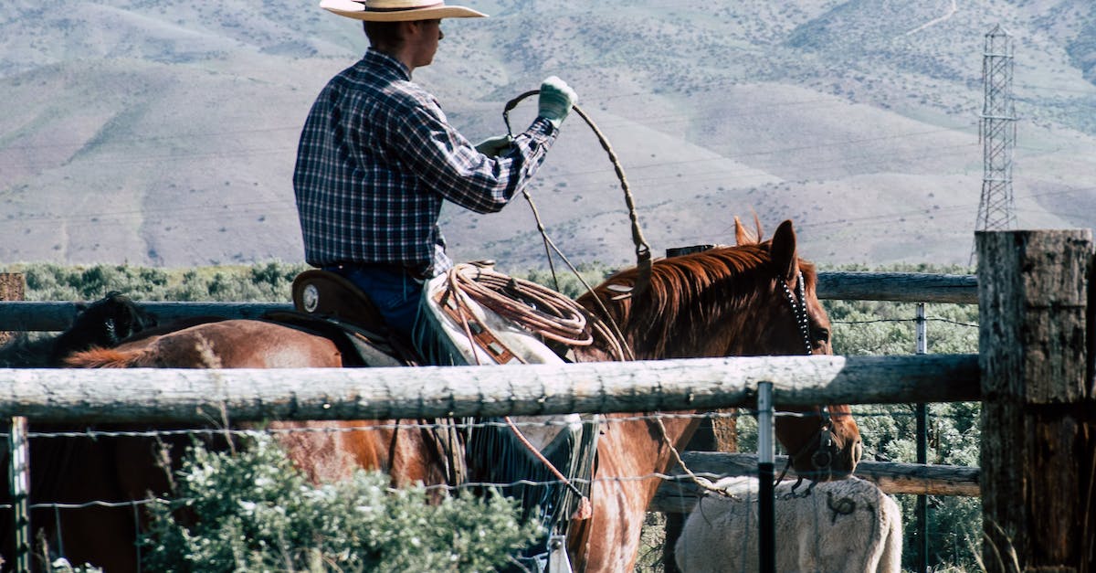 How can I make the animals wear pants? - Photography of a Person Riding Horse How can I make the animals wear pants? - Photography of a Person Riding Horse