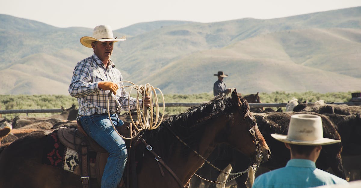 How can I make the animals wear pants? - Photography of a Person Riding Horse How can I make the animals wear pants? - Photography of a Person Riding Horse