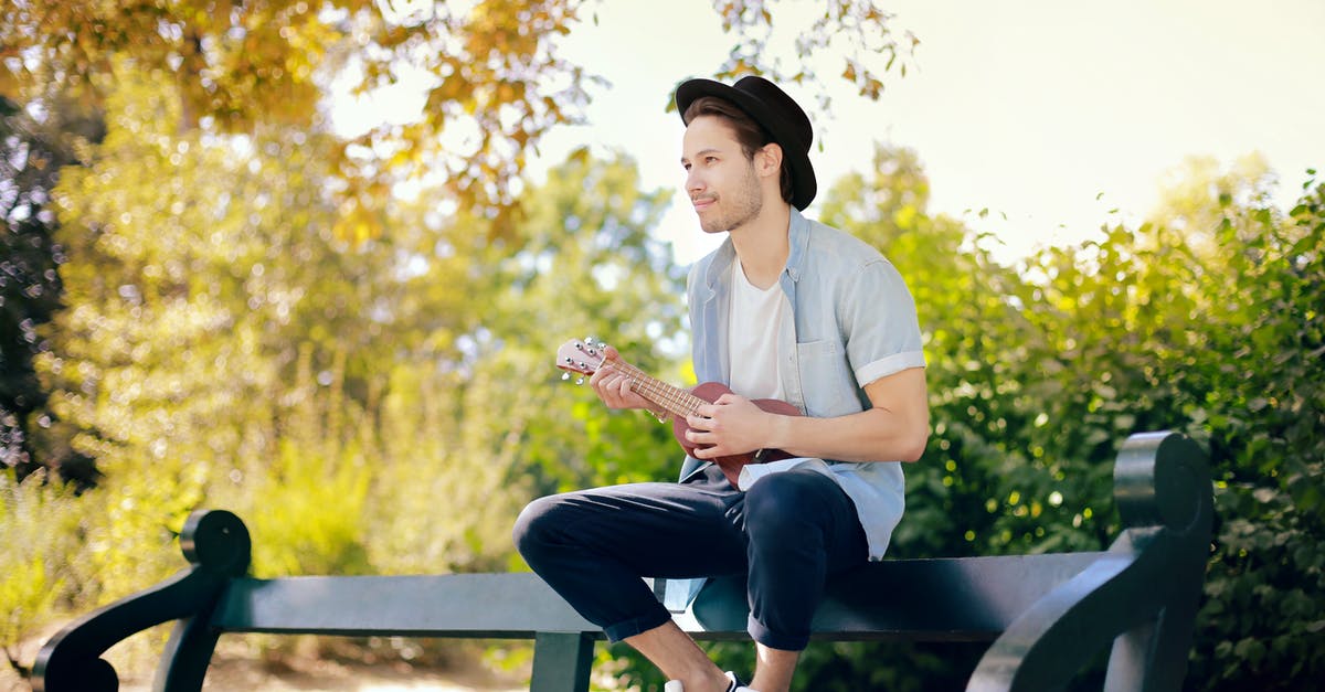 How can I mute music and sounds while playing? - Photo of a Man Playing Ukulele