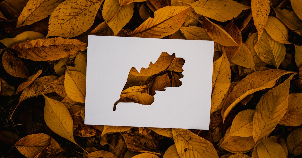 How can I obtain golden naxxramus cards? - Simple cutout card on fallen foliage How can I obtain golden naxxramus cards? - Simple cutout card on fallen foliage