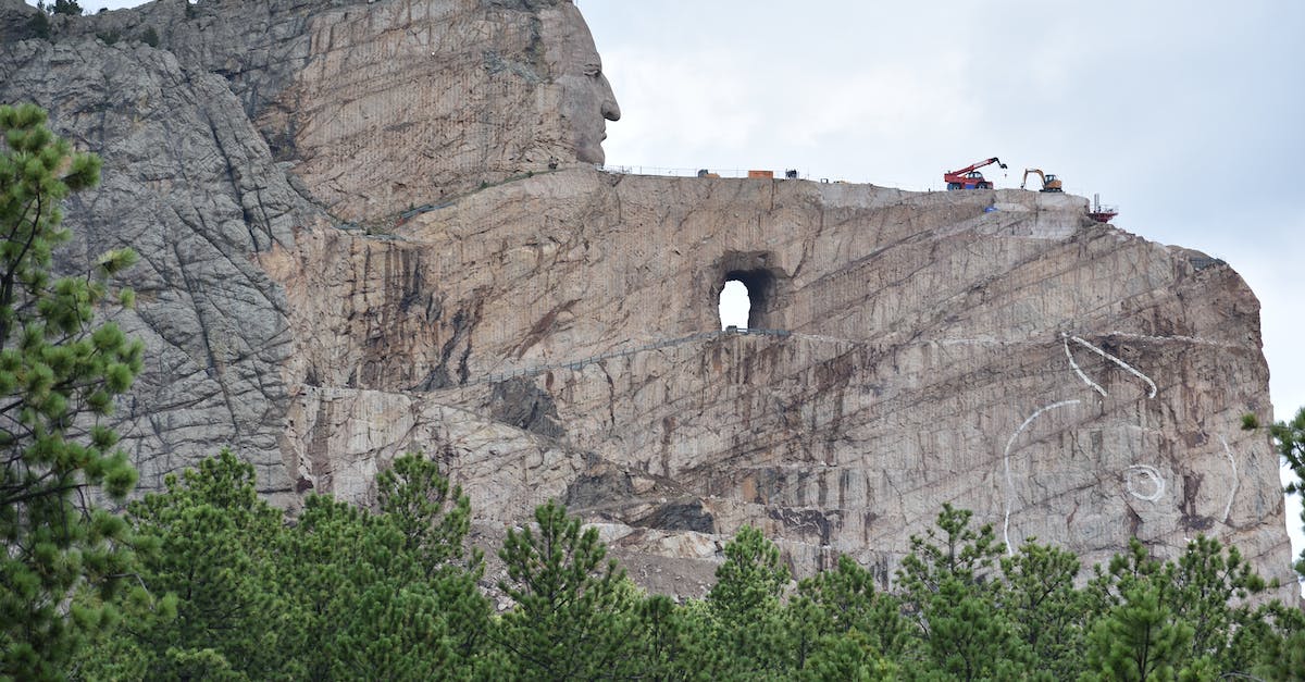 How can I reach the massive tree in the south, near Bald Mountain - Majestic steep Mount Rushmore surrounded by coniferous trees under light blue sky covered with clouds How can I reach the massive tree in the south, near Bald Mountain - Majestic steep Mount Rushmore surrounded by coniferous trees under light blue sky covered with clouds