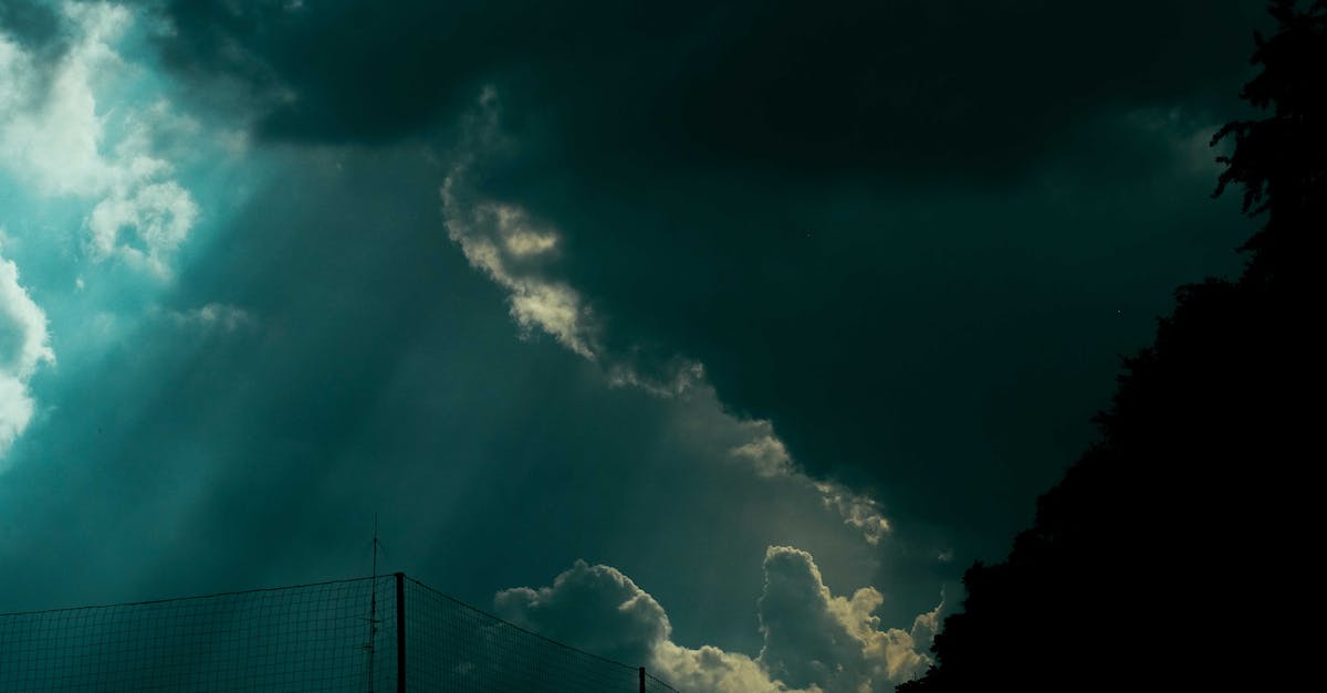 How can I recognize a Grim Patron Warrior before it's too late? - Gloomy evening sky above countryside area How can I recognize a Grim Patron Warrior before it's too late? - Gloomy evening sky above countryside area