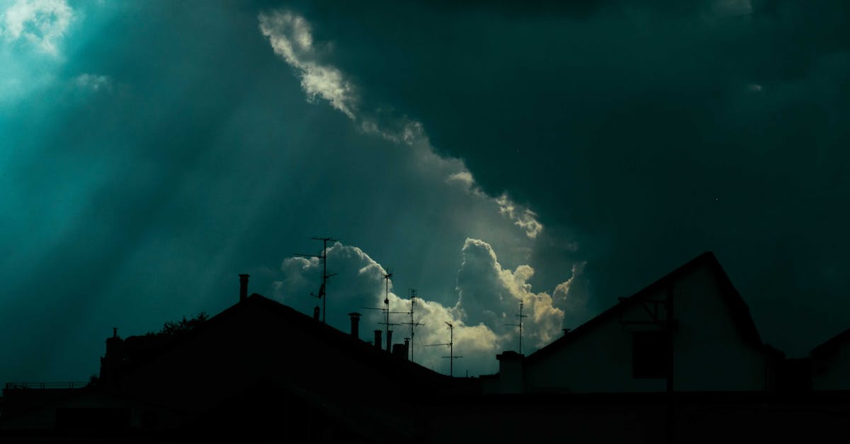 How can I recognize a Grim Patron Warrior before it's too late? - Dramatic scenery of overcast sky with heavy dark clouds floating over silhouettes of suburban cottages at night How can I recognize a Grim Patron Warrior before it's too late? - Dramatic scenery of overcast sky with heavy dark clouds floating over silhouettes of suburban cottages at night