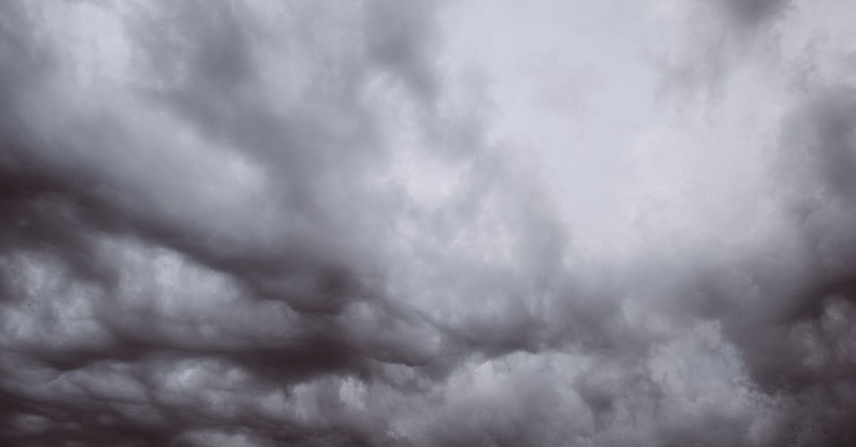 How can I recognize a Grim Patron Warrior before it's too late? - From below black and white view of dramatic overcast skies with dense cumulus clouds in haze How can I recognize a Grim Patron Warrior before it's too late? - From below black and white view of dramatic overcast skies with dense cumulus clouds in haze