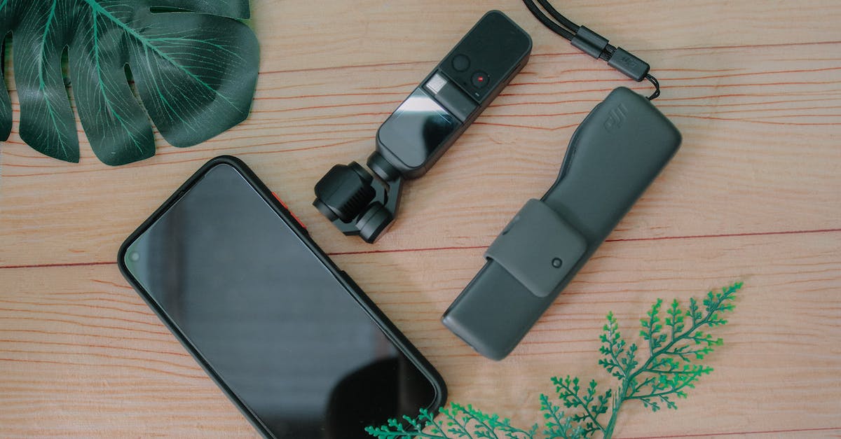 How can I record insane action in Minecraft? - Top view of modern action camera and smartphone with black screen placed on wooden table near leaves of fake plants