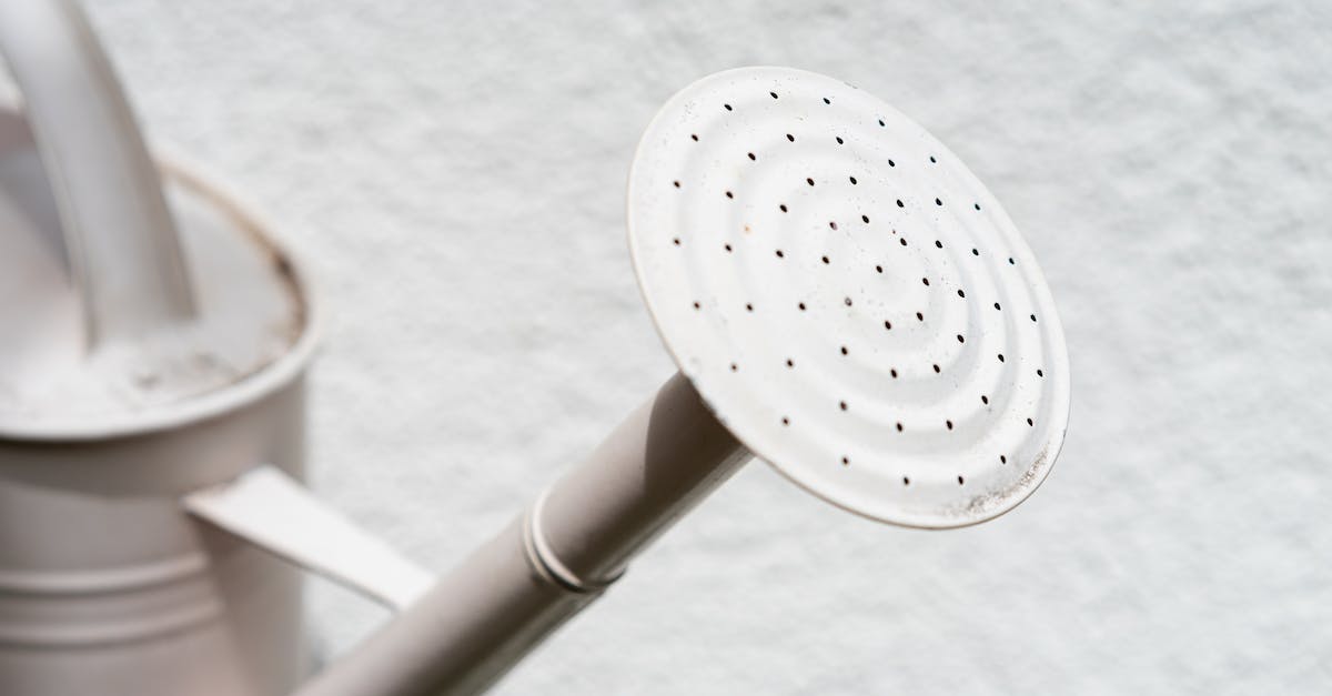 How can I seal the holes my essentia tubes created? - White Round Metal Tool on White Surface How can I seal the holes my essentia tubes created? - White Round Metal Tool on White Surface