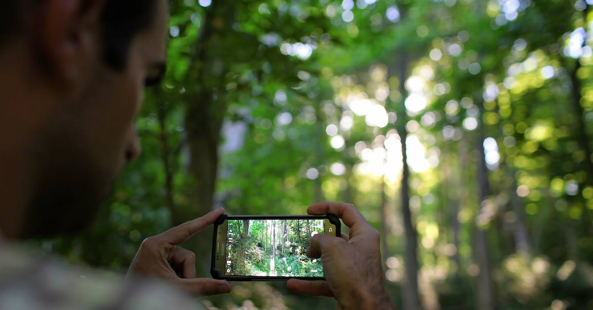 How can I see all tech tree nodes? - Crop man photographing forest on smartphone How can I see all tech tree nodes? - Crop man photographing forest on smartphone