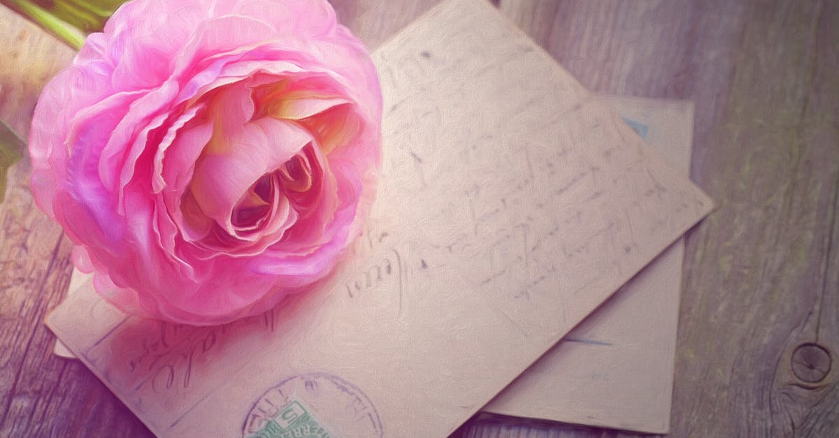 How can I see the romance cards I have won in Witcher? - Pink Rose on Greetings Card How can I see the romance cards I have won in Witcher? - Pink Rose on Greetings Card