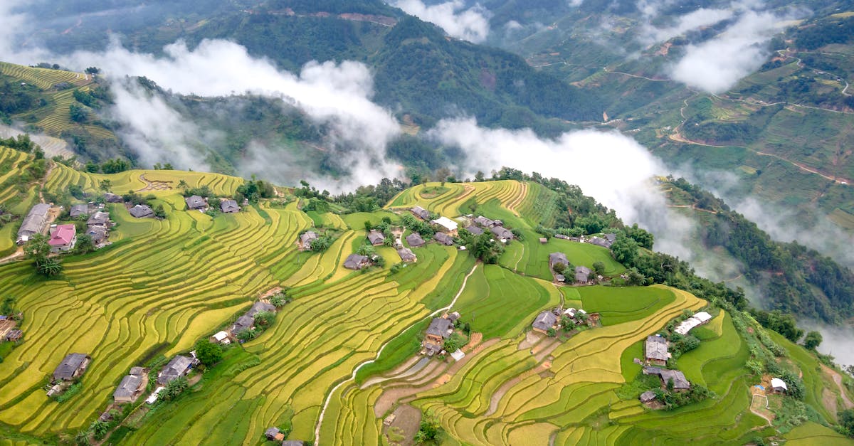 How can I smith higher levels of weapons? - Aerial View of Green Rice Terraces and Hills in Fog