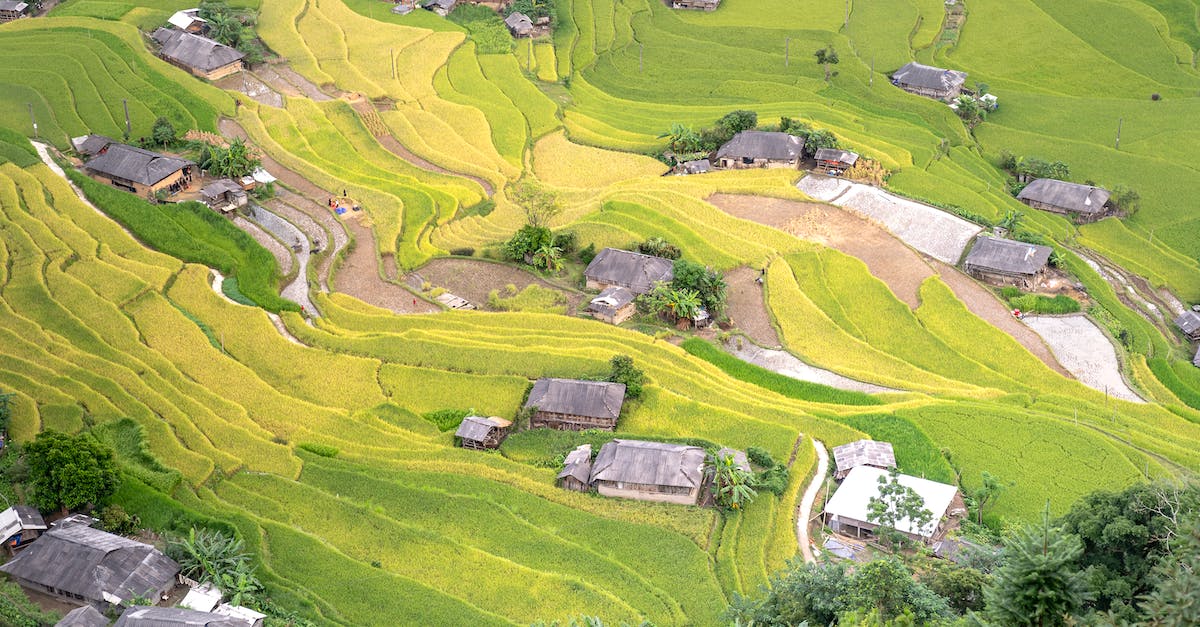 How can I smith higher levels of weapons? - Aerial View of Green Grass Field