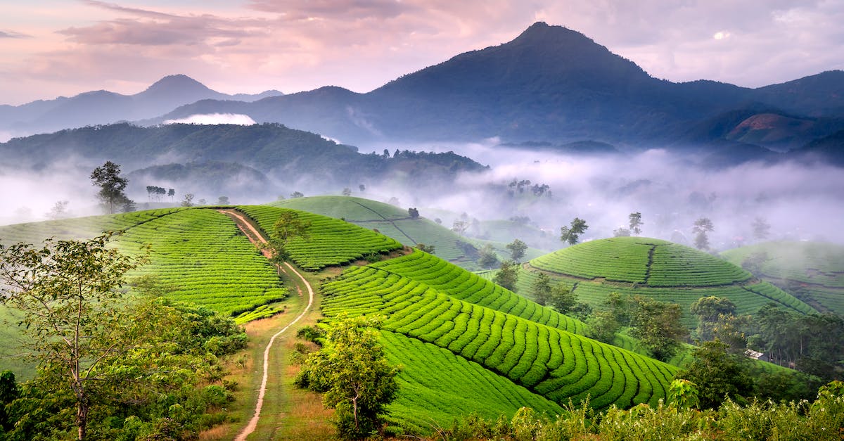 How can I smith higher levels of weapons? - Scenic Landscape with Mountains in Mist and Green Rice Terraces