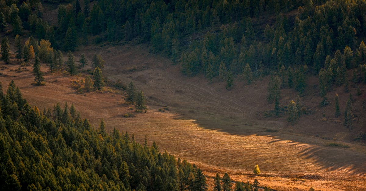 How can I sync Stardew Valley between Xbox One and PC? - View on Wide Deforested Valley Between Forested Slopes of Mountain How can I sync Stardew Valley between Xbox One and PC? - View on Wide Deforested Valley Between Forested Slopes of Mountain