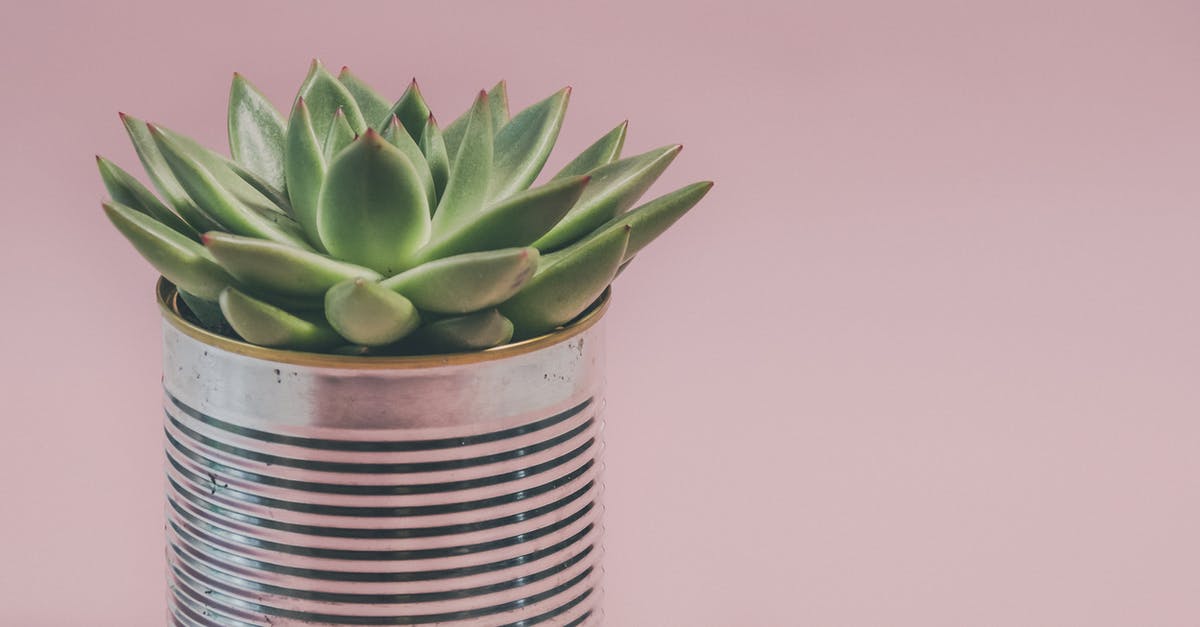 How can I tell how charged up a Zarya is? - Photo of a Succulent Plant How can I tell how charged up a Zarya is? - Photo of a Succulent Plant