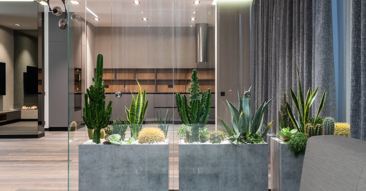 How can I tell when the Parisian Zone buildings are finished upgrading? - Spacious lounge in modern apartment