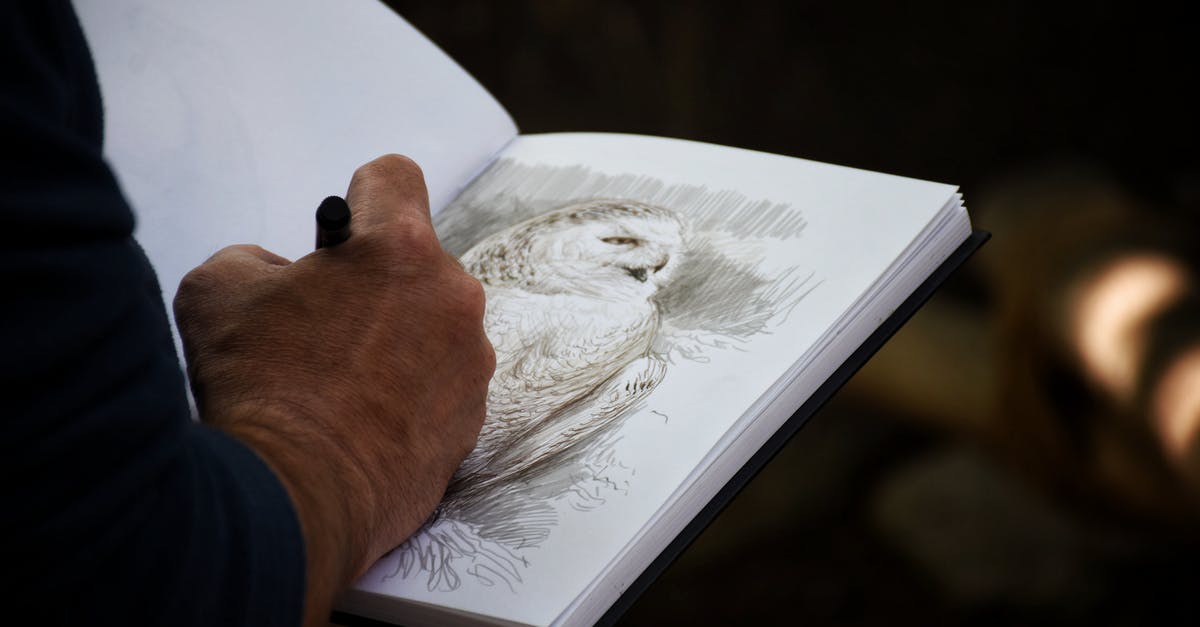 How can I use Eye and Hand in The Arch? - Unrecognizable artist drawing owl in album at home How can I use Eye and Hand in The Arch? - Unrecognizable artist drawing owl in album at home