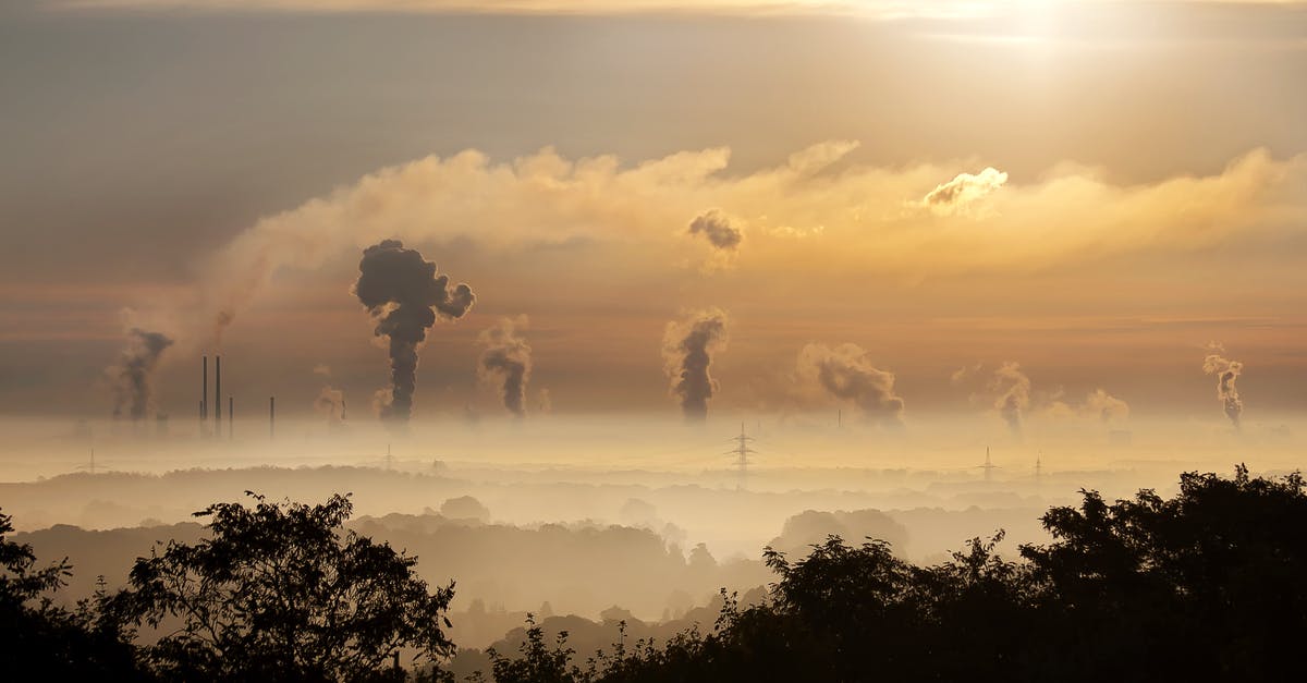 How can I validate that Steam Cloud is up to date? - Silhouette of Trees