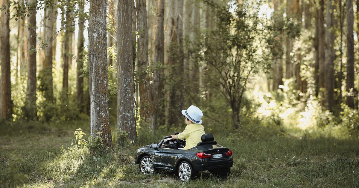 How can I view the list of collectibles and side activites in the current location? - Little Boy in Hat Driving Toy Car in Forest