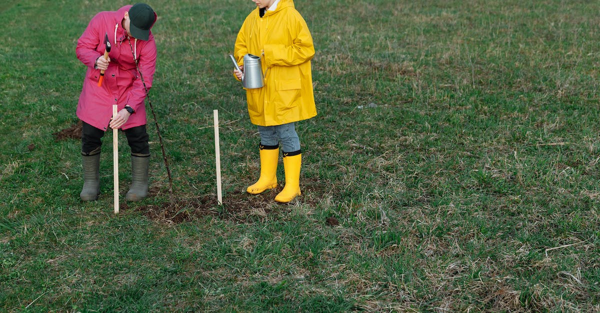 How can you keep the Rueful Axe and the Masque of Clavicus Vile? [duplicate] - A Man and A Woman Doing Planting on Green Grass Field