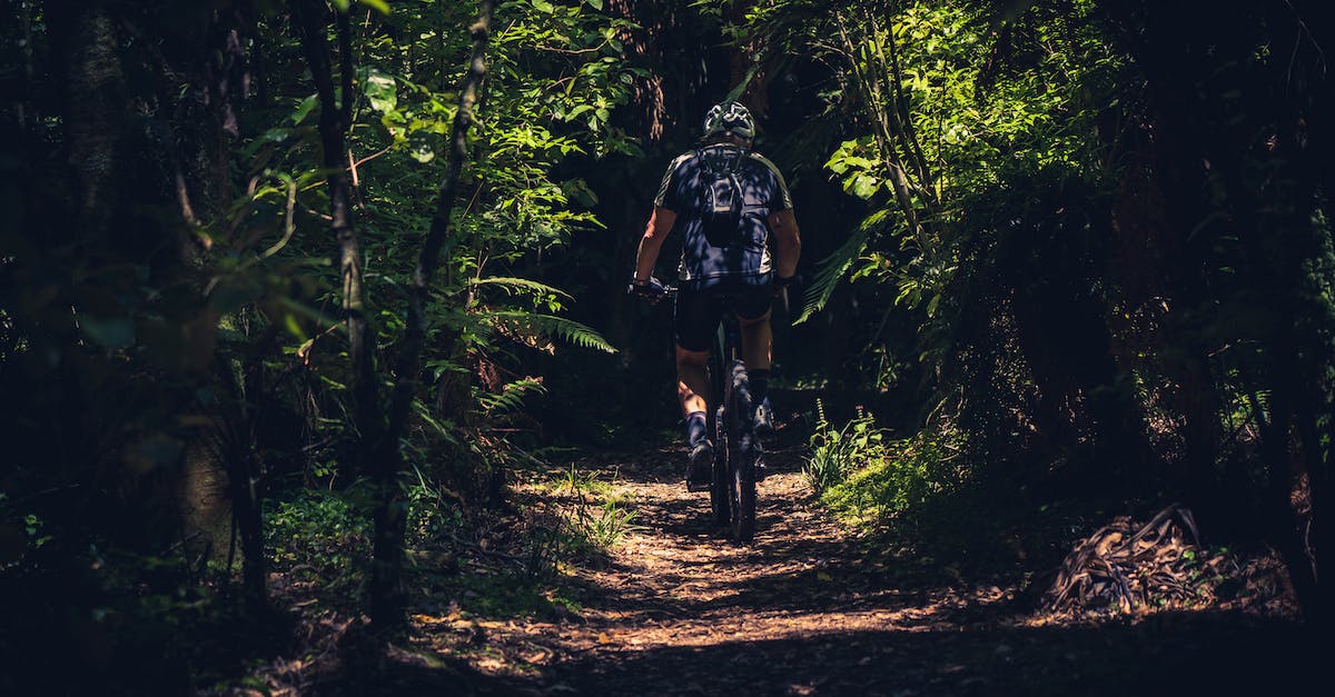 How can you see the ghosts or invisible people in the shaded woods - Man Riding On A Bike