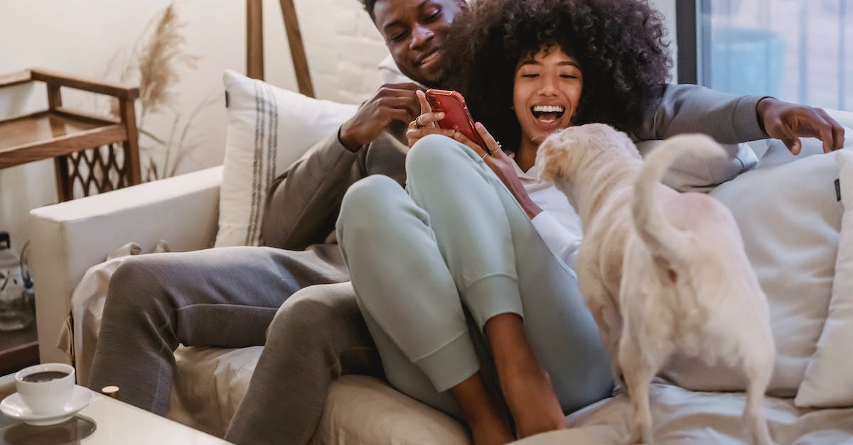 How close do I have to be to get mini-crits with the BackScatter? - Delighted African American couple sharing smartphone on couch and playing with pet