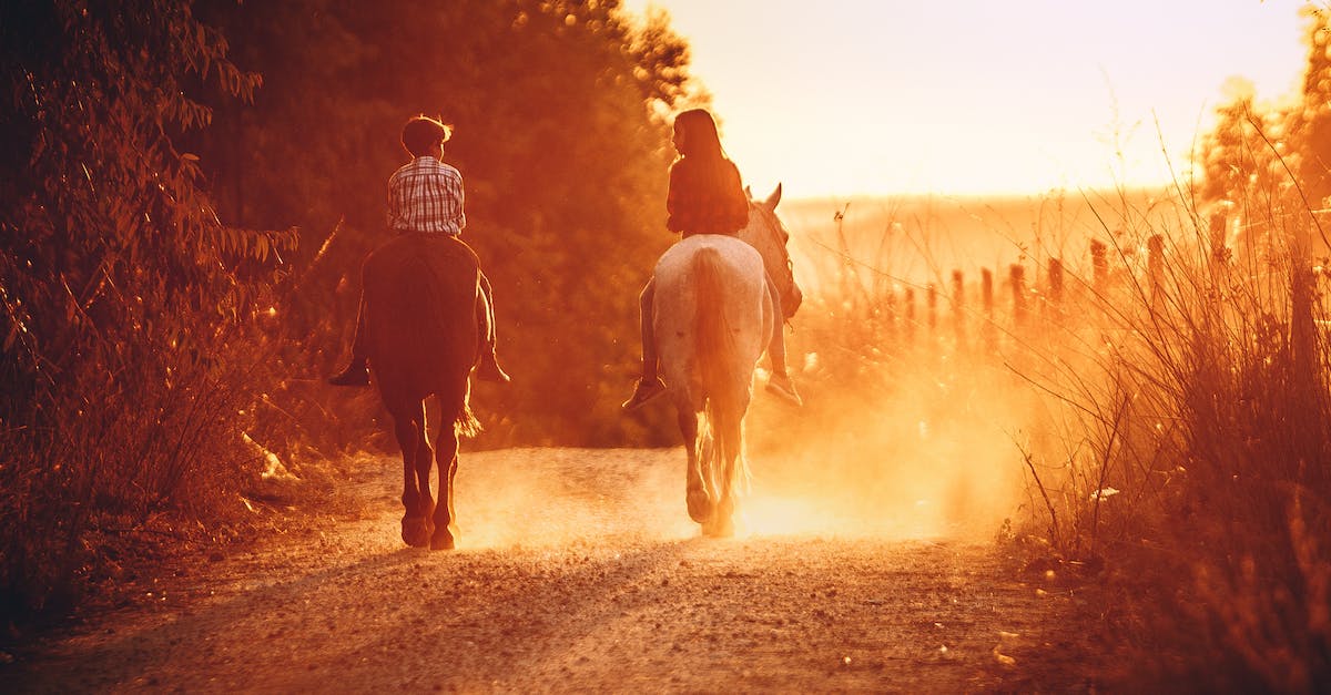 How do chests in Dust an Elysian tail decide what to drop? - Back view of anonymous children riding purebred stallions on sandy walkway near growing trees and wooden fence on bright sunny day in countryside