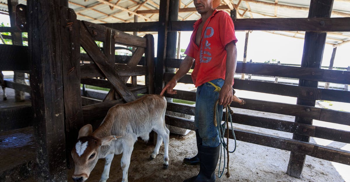 How do I become a goat again after turning into a bag? - Woman in Red Polo Shirt Standing Beside Brown Horse How do I become a goat again after turning into a bag? - Woman in Red Polo Shirt Standing Beside Brown Horse
