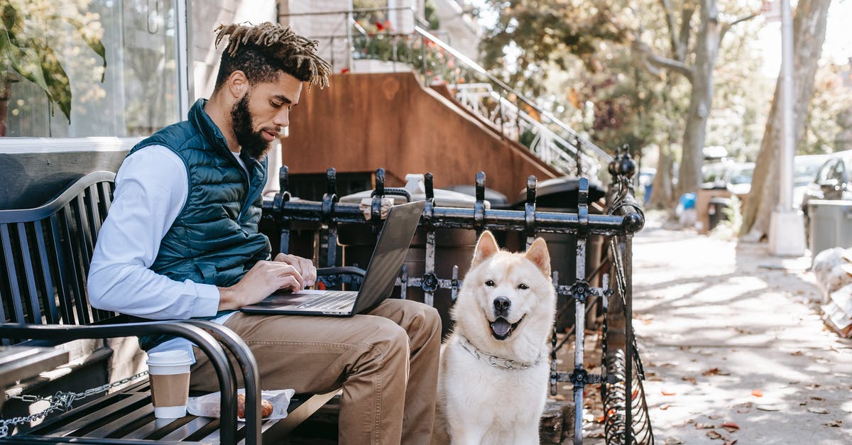 How do I build a dog house for Dogmeat? - Side view of African American male sitting on bench with takeaway coffee and surfing netbook near Akita Inu dog on street