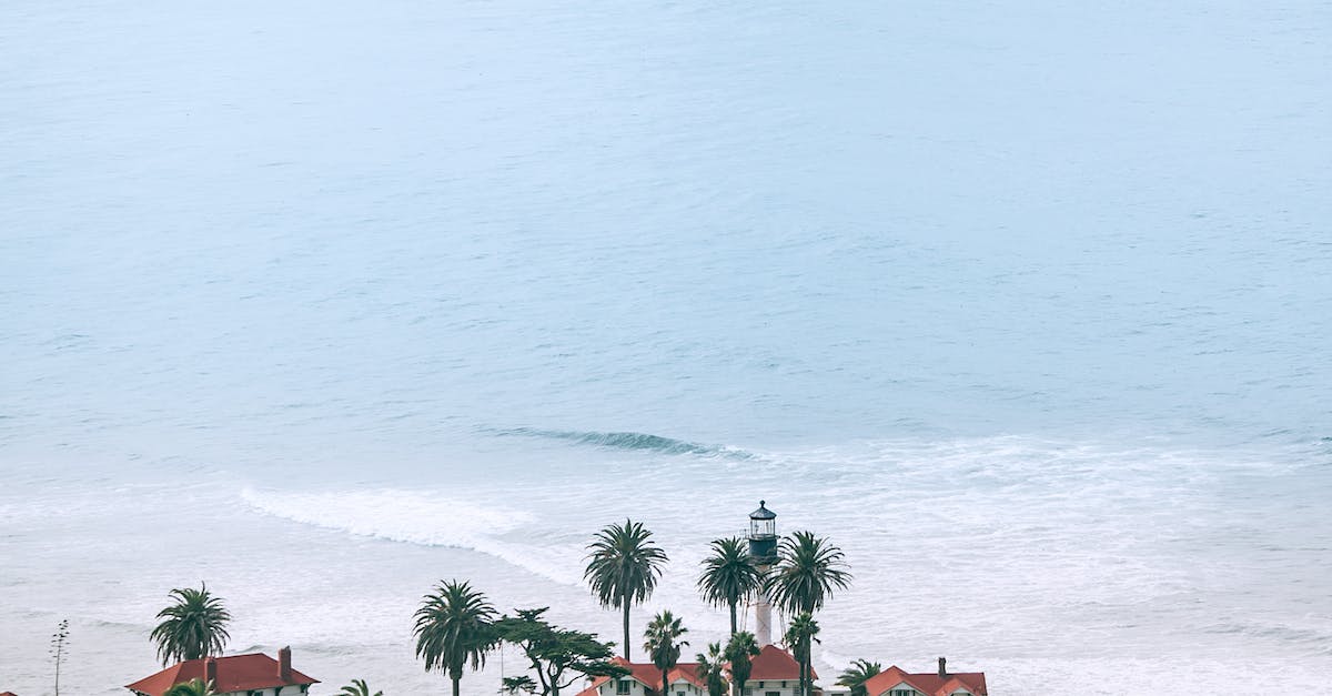 How do I build the Beacon in a Swamp - Houses with palm trees on lawn against foamy ocean
