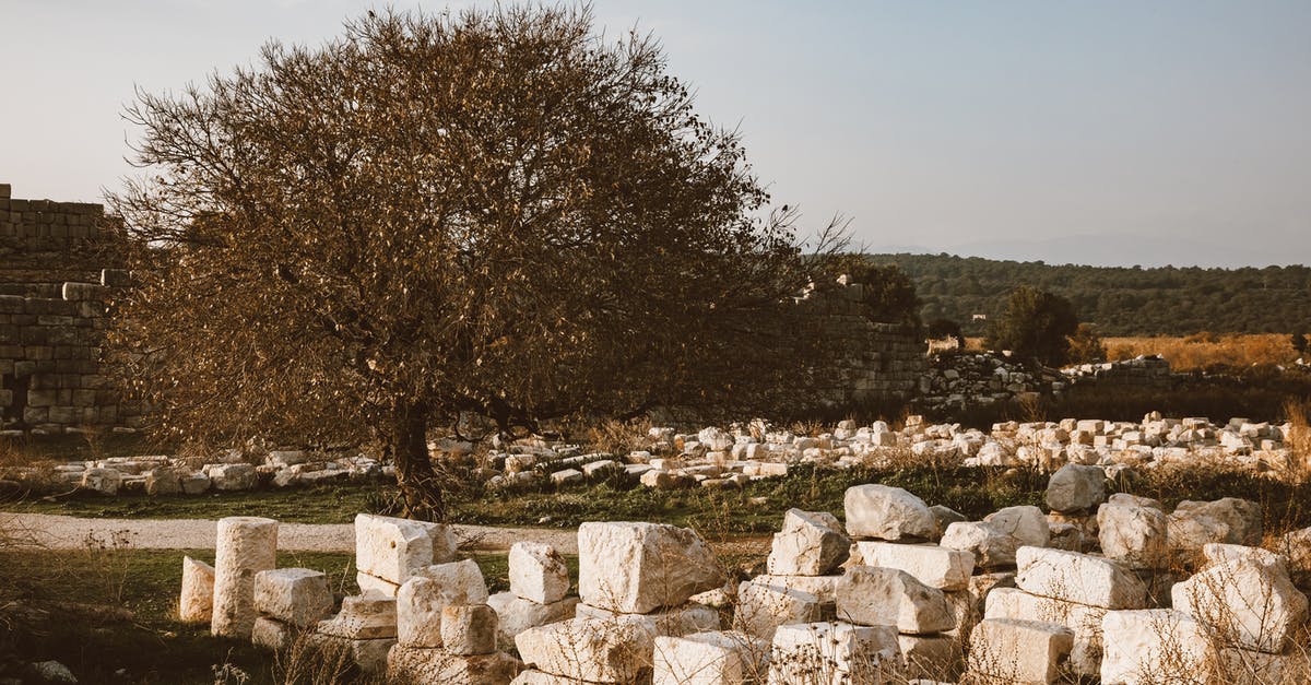 How do I change grass blocks within a set region to magma blocks? [duplicate] - White Blocks on the Grass 