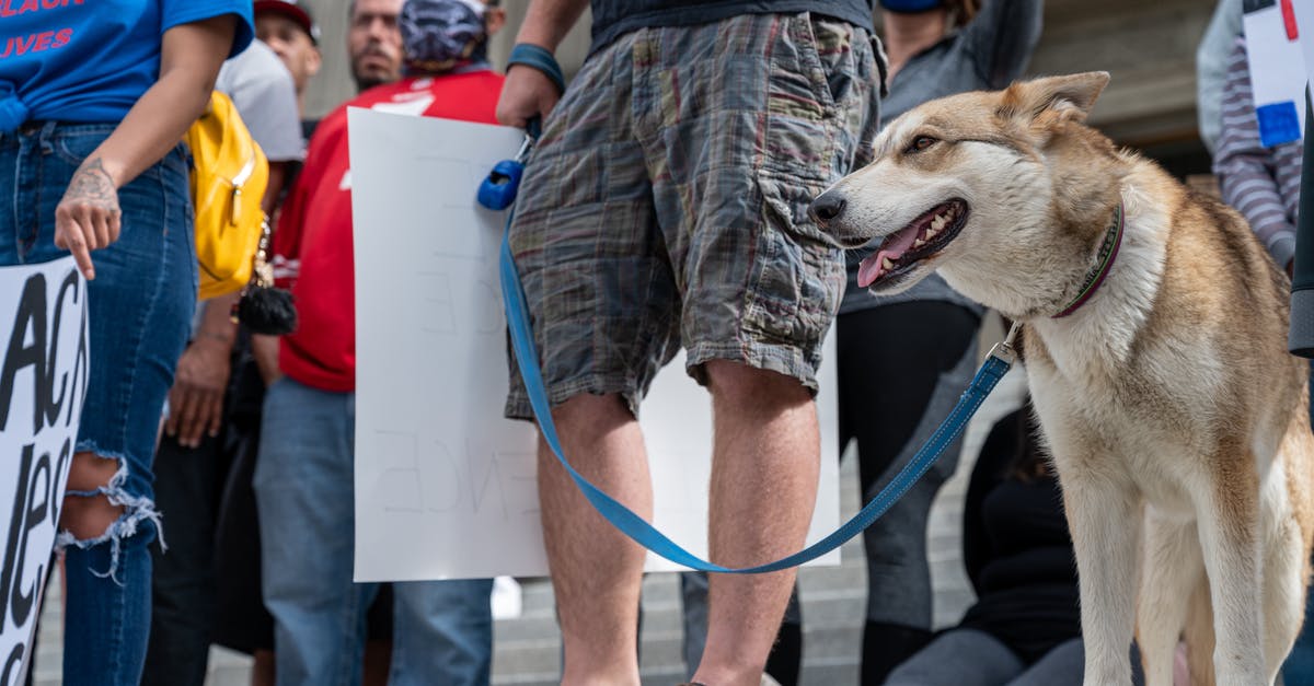 How do I change the third person view from the right shoulder to the left shoulder in Skyrim - Unrecognizable man with dog on protest How do I change the third person view from the right shoulder to the left shoulder in Skyrim - Unrecognizable man with dog on protest