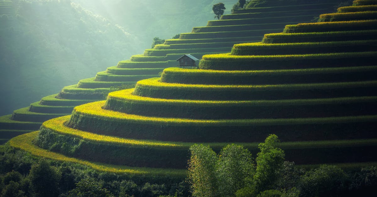How do I claim land in Lichcraft? - Scenic View of Rice Paddy How do I claim land in Lichcraft? - Scenic View of Rice Paddy