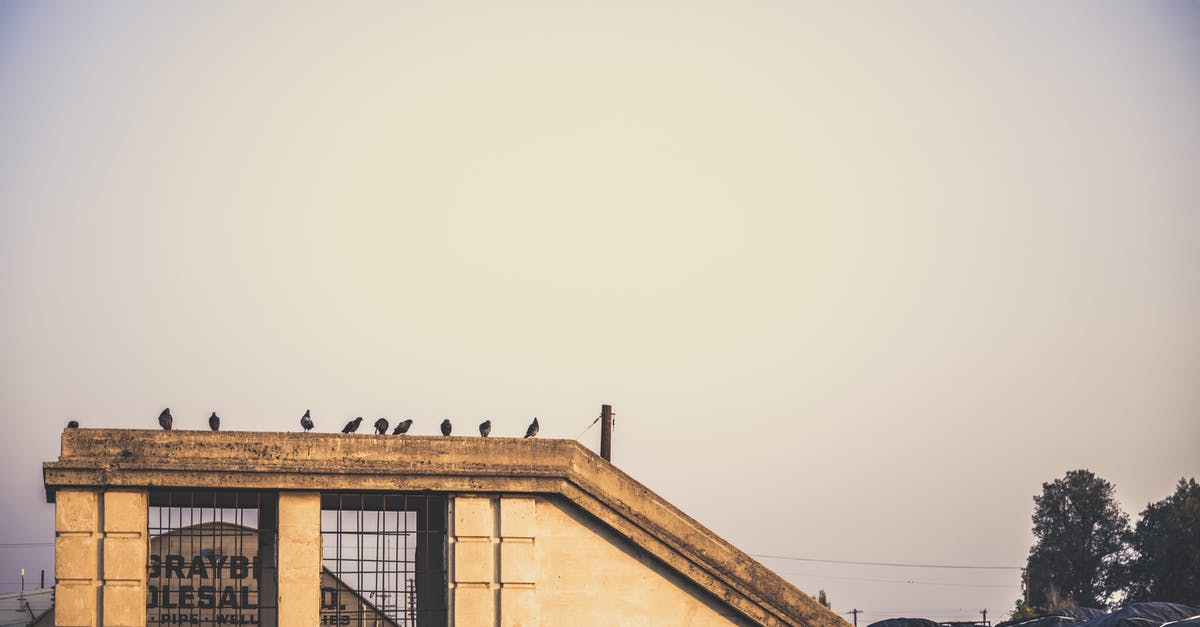 how do i clear block lag? - Exterior of old stone construction on roof of building with pigeons sitting on edge of rooftop